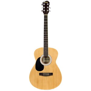LEGEND FG-15 LH N pAR[XeBbNM^[