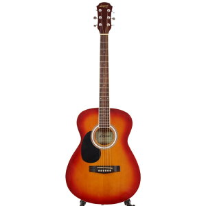 LEGEND FG-15 LH CS pAR[XeBbNM^[