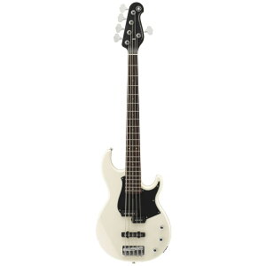 yyX2023܁z}n YAMAHA BB235 VW 5GLx[X