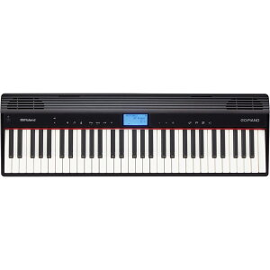 [h dqsAm ROLAND GO-61P GO:PIANO Entry Keyboard Piano Gg[L[{[h sAm