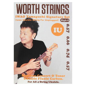 Worth Strings IU IWAO Unplugged High-G EN