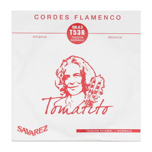 ToX  o 3 SAVAREZ T53R 3 g}eB[g tRM^[ o