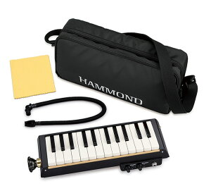 XYL SUZUKI HAMMOND PRO-24B }CNf oX Ճn[jJ