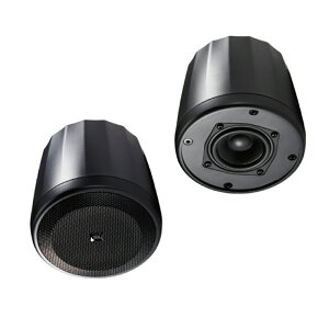 JBL PROFESSIONAL Control 62P �V��݉����p�T�e���C�g�E�X�s�[�J�[ �� �y�A