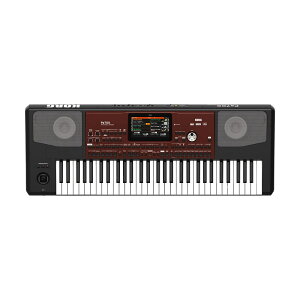RO KORG PA700 Professional Arranger AW[L[{[h