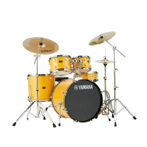 }n YAMAHA RYDEEN RDP2F5STD YL hZbg VottZbg