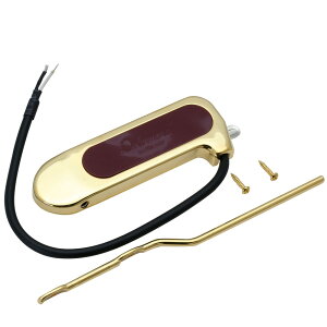 DeArmond Rhythm Chief 1000 Gold �t���[�e�B���O�E�V���O���R�C���s�b�N�A�b�v