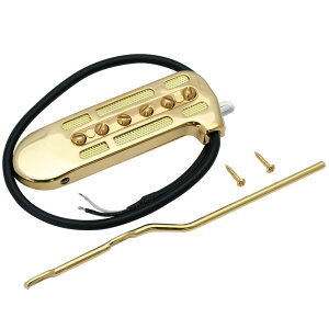DeArmond Rhythm Chief 1100 Gold �t���[�e�B���O�E�V���O���R�C���s�b�N�A�b�v