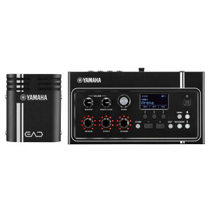 }n YAMAHA EAD10 GNgjbNAR[XeBbNhW[