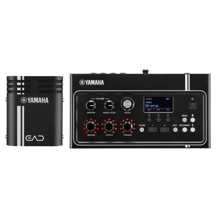 楽天市場】ヤマハ YAMAHA EAD10 エレクトロニックアコースティック 