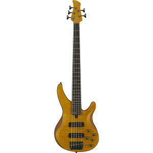 yyX2023NCz}n YAMAHA TRBX605FM MAM 5GLx[X