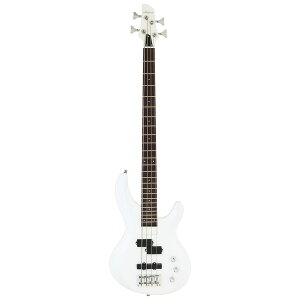 AriaProII IGB-STD PWH GLx[X