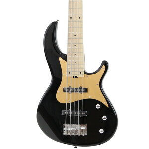 AriaProII RSB-618/5 BK 5GLx[X