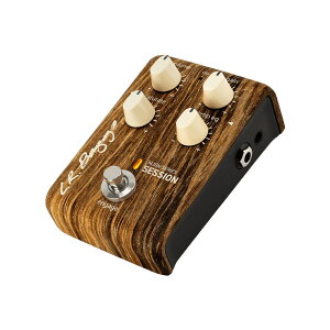 L.R.Baggs Align Series Session �A�R�M�p�X�^�W�I�E�v���Z�b�V���O�E�c�[�� �y�_��