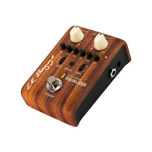L.R.Baggs Align Series Equalizer �C�R���C�U�[ �A�R�M�p�y�_��