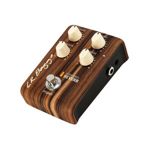 L.R.Baggs Align Series Reverb ���o�[�u �A�R�M�p�y�_��
