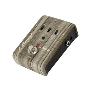L.R.Baggs Align Series Active DI �A�R�M�pDI