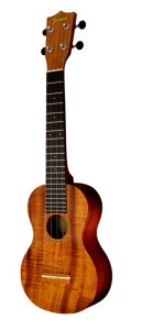 Famous FLS-2G \vmEN OlbN