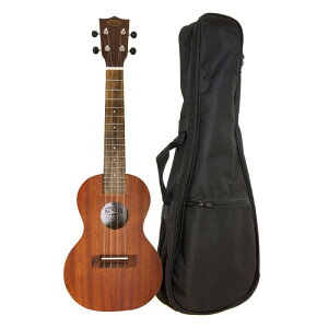 EN KIWAYA KCU-1 RT[gEN