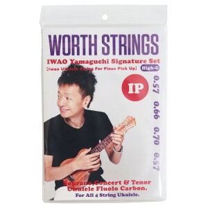 Worth Strings IP IWAO Piezo PickUp High-G Zbg EN