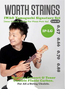 Worth Strings IP-LG IWAO Piezo PickUp Low-G Zbg EN
