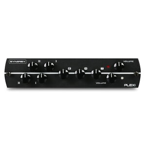 SYNERGY AMPS SYNERGY PLEXI module Synergy���W���[��