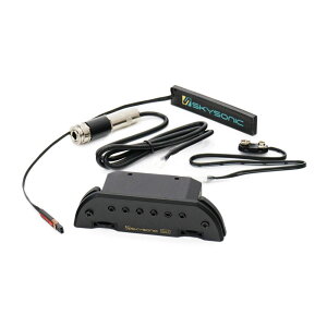 SKYSONIC PRO-1 AR[XeBbNM^[psbNAbv