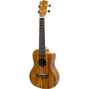 S.YAIRI YU-C-01KE RT[gTCY sbNAbv EN