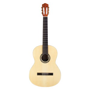 Protege SERIES C1M 4/4