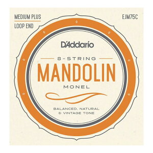 �_�_���I D'Addario EJM75C Mandolin strings Medium Plus �}���h������