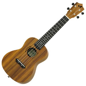 LauleMa LAK-1C RT[g EN