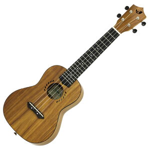 LauleMa LAK-2C RT[g EN