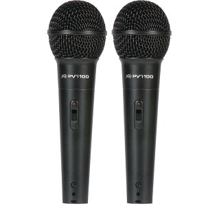 PEAVEY PVi 100 2{Zbg _Ci~bN}CN
