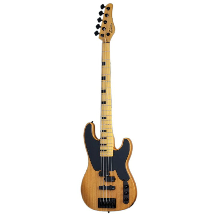 楽天市場】SCHECTER MODEL-T SESSION 5 AD-MT-SS-5 ANS 5弦 エレキ 