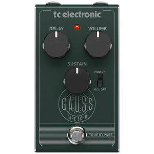 tc electronic GAUSS TAPE ECHO e[vGR[ GtFN^[