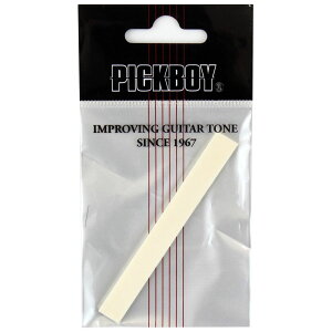 PICKBOY NS-NO 10S Saddle AR[XeBbNM^[pTh