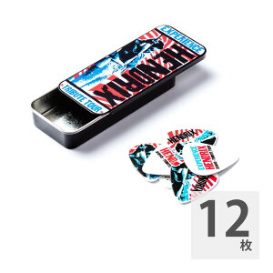 JIM DUNLOP JH-PT09M Jimi Hendrix TRIBUTE TOUR ピック&ケース