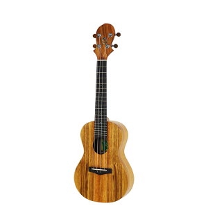 BIG ISLAND KT-CTS RT[gEN