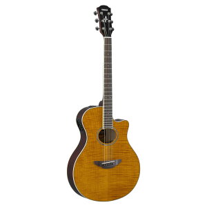 }n YAMAHA APX600FM AM GNgbNAR[XeBbNM^[