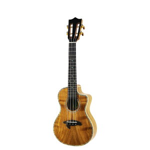 BIG ISLAND KSX-CTG RT[g EN