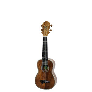 BIG ISLAND KX-SPG \vmEN