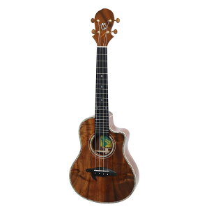 EN BIG ISLAND KX-TRCG ei[EN