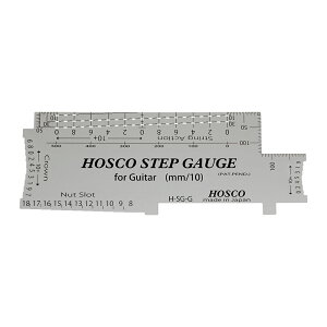 HOSCO H-SG-G Step Gauge XebvQ[W
