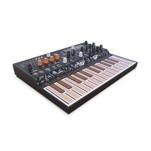 ARTURIA MICROFREAK �n�C�u���b�h�V���Z�T�C�U�[