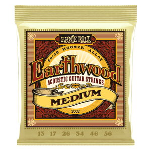 A[j[{[ ERNIE BALL 2002 Earthwood Medium 80/20 Bronze 13-56 Gauge AR[XeBbNM^[