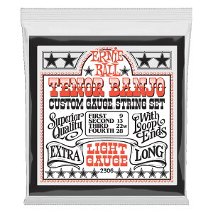 A[j[{[ ERNIE BALL 2306 Light Loop End Stainless Steel 9-28 Gauge ei[oW[