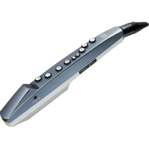 Roland AE-01 Aerophone mini �E�B���h�V���Z�T�C�U�[