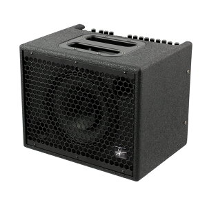 Udo Roesner Amps Da Capo 75 AR[XeBbNAv R{ 75Wo