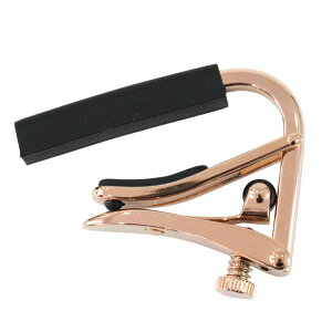 SHUBB C1g-rose CAPO ROYALE ROSE GOLD AR[XeBbNM^[p J|^Xg