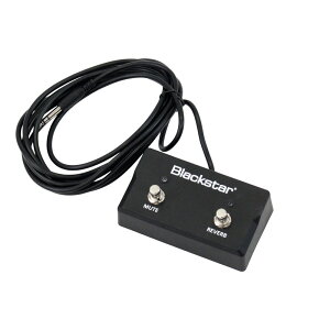 ubNX^[ BLACKSTAR FS-17 2-button footswitch tbgXCb`